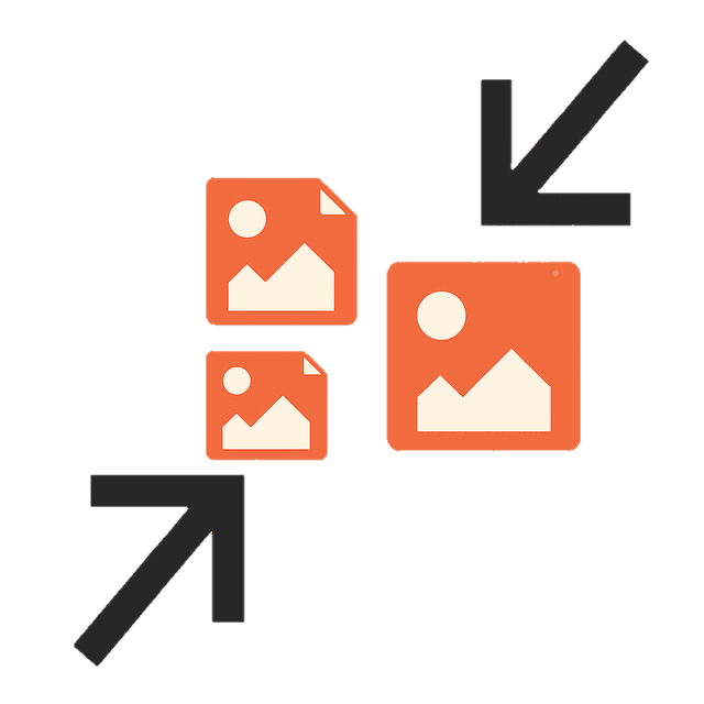 Resize and download options